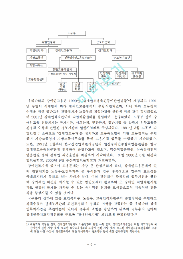 1000원]장애인 고용 정책의 문제점과 해결방안.hwp